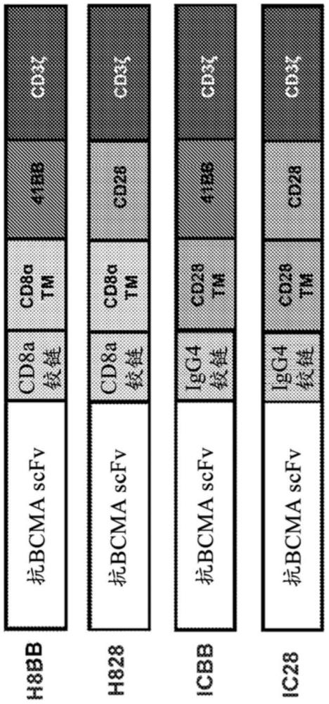 靶向免疫相關病癥的抗BCMACAR、組合物及其方法與流程