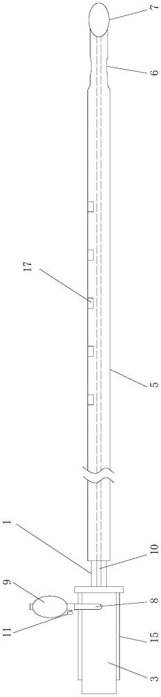 一種無(wú)痛子宮內(nèi)膜取樣器的制作方法