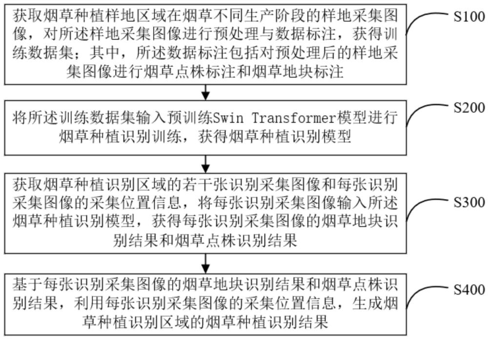 煙草點株計數(shù)和地塊識別方法、裝置、設(shè)備及存儲介質(zhì)與流程