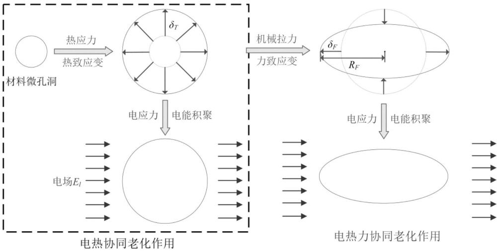 電-熱-力多場老化下的復(fù)合絕緣子芯棒壽命預(yù)測方法