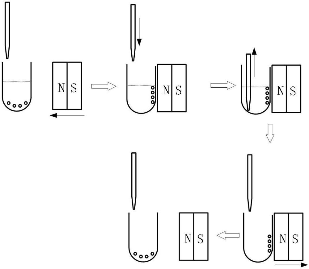 一種化學(xué)發(fā)光特征檢測方法與流程