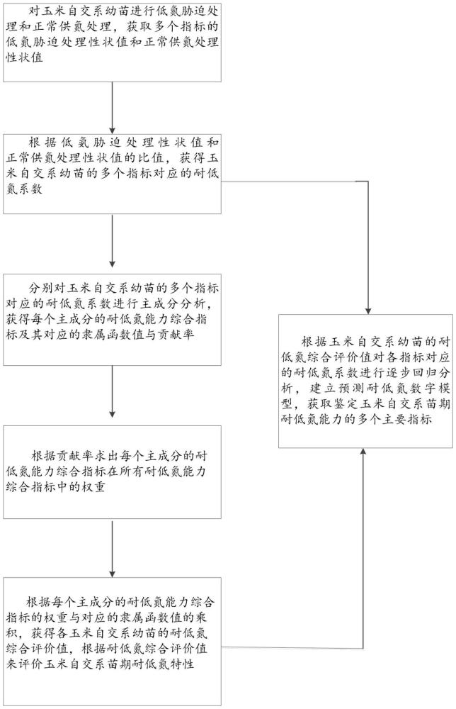 一種玉米自交系苗期耐低氮特性的鑒定方法