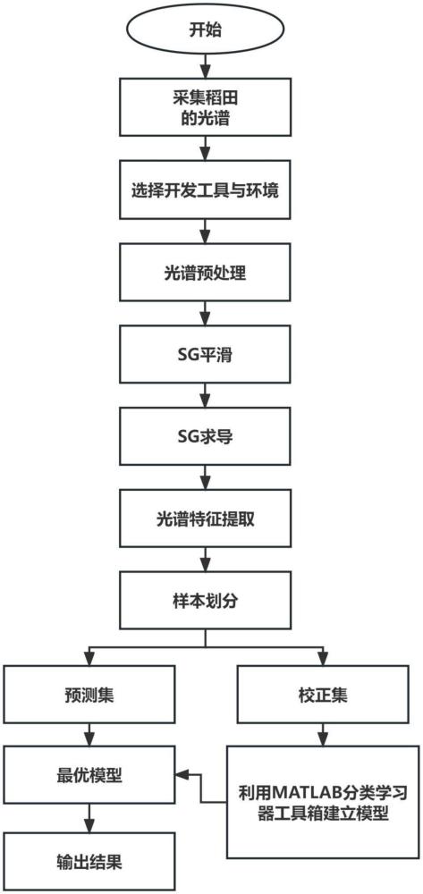 一種基于地物光譜儀進(jìn)行稻田早期稗草識別的方法與流程