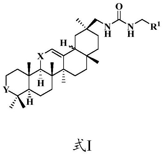 一種甘草次酸衍生物、藥物組合物及其應(yīng)用