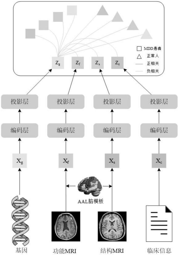 一種基于決策樹(shù)結(jié)構(gòu)對(duì)比學(xué)習(xí)的抑郁癥診斷分析方法