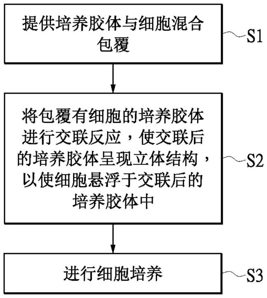 利用促細(xì)胞生長(zhǎng)膠體三維培養(yǎng)細(xì)胞量產(chǎn)胞外組合物的方法與流程