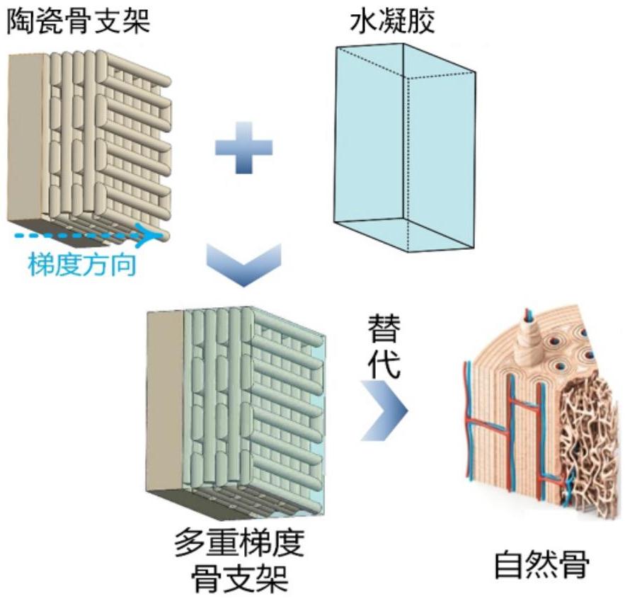 一種陶瓷-水凝膠復合骨支架及其制備方法與應用