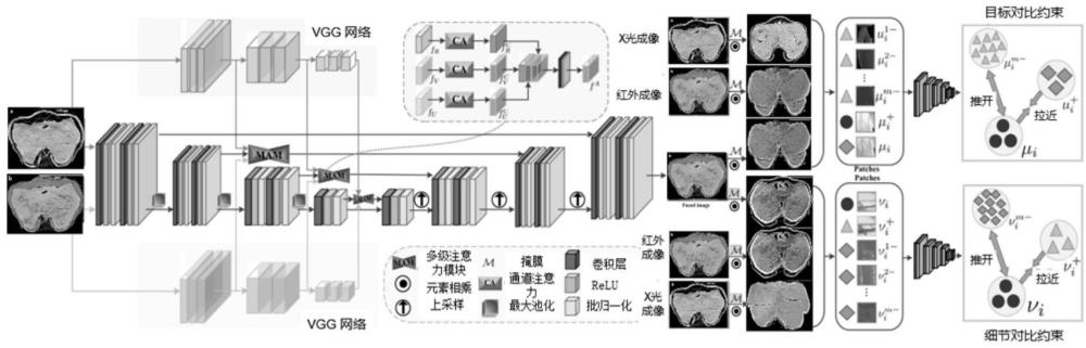 基于多模态融合成像的麦粒微观结构变化观测方法及设备