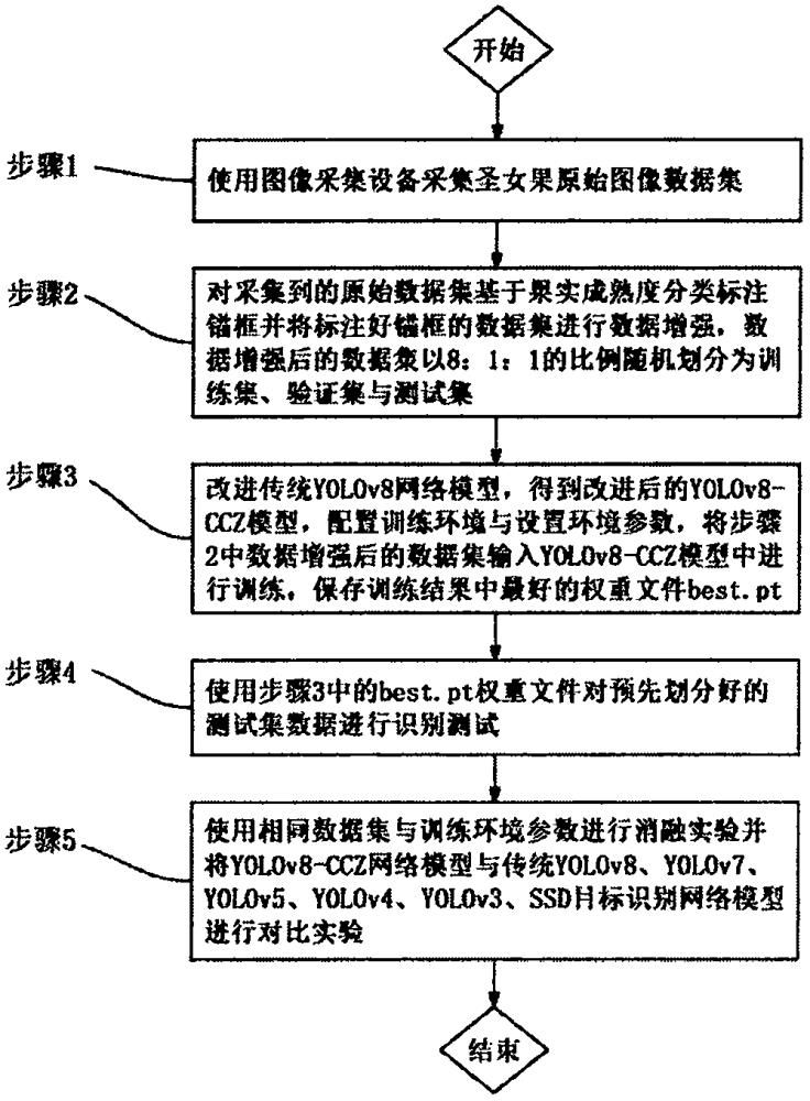 一種基于改進(jìn)YOLOv8的圣女果成熟度識(shí)別方法