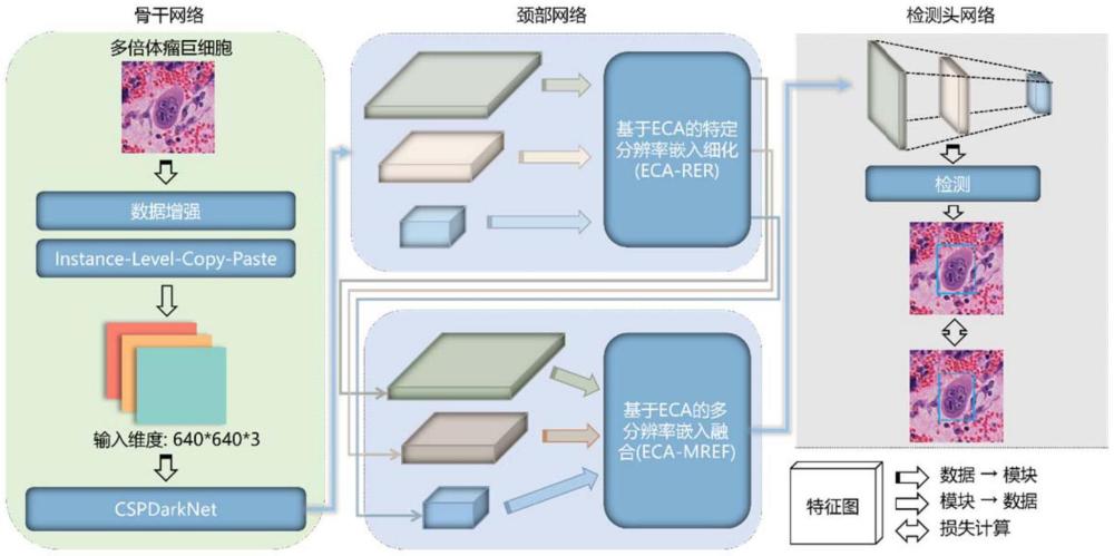 基于深度學(xué)習(xí)的H&E圖像卵巢癌多倍體瘤巨細胞的檢測方法