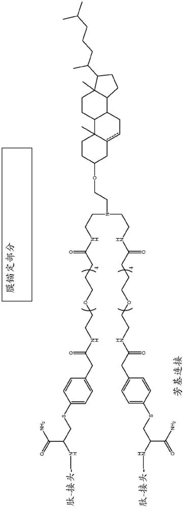 用于治療COVID感染的方法和組合物與流程