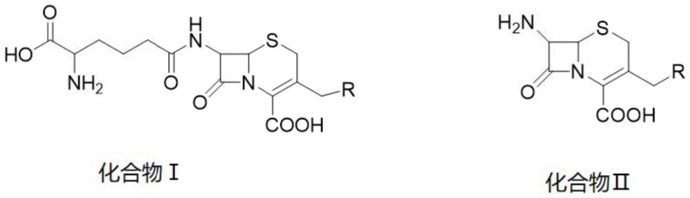 一種具有底物特異性的頭孢菌素C?；竿蛔凅w及其應(yīng)用