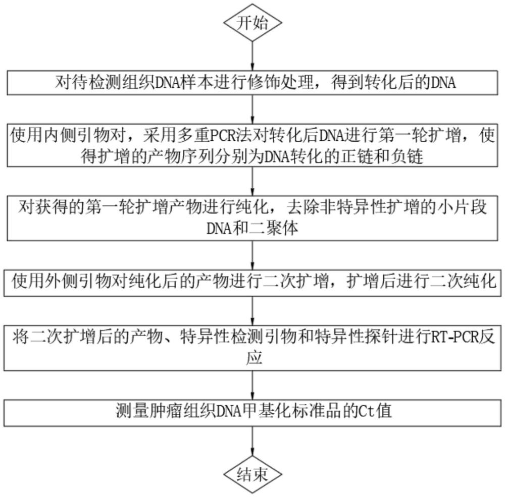 通過基因甲基化信號預放大提高腫瘤檢測靈敏度的方法與流程