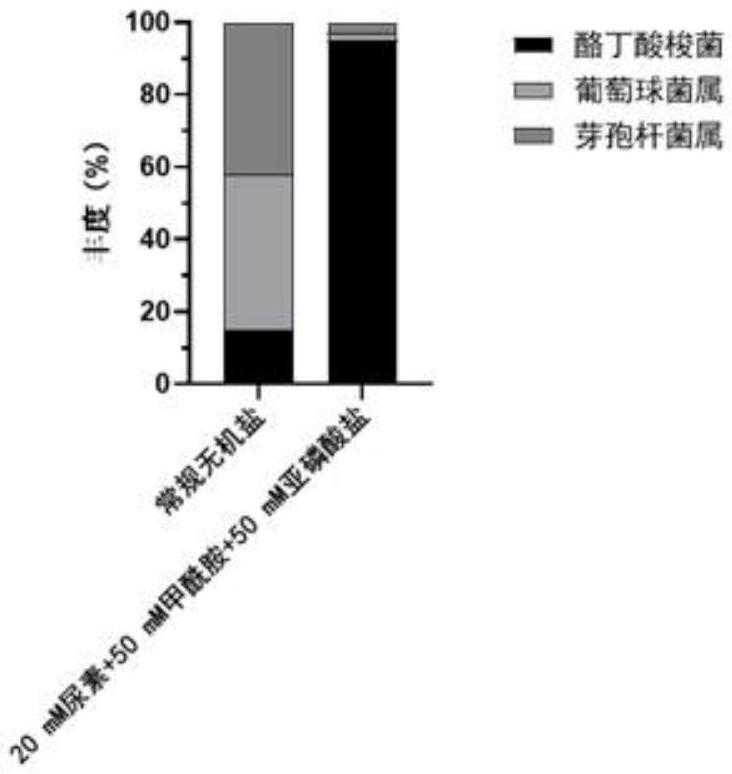 一種酪丁酸梭菌的非滅菌發(fā)酵培養(yǎng)基及發(fā)酵方法