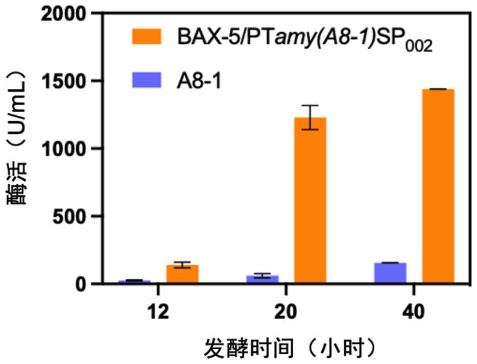 一種α-淀粉酶、α-淀粉酶基因、高產(chǎn)α-淀粉酶的工程菌及其應(yīng)用的制作方法