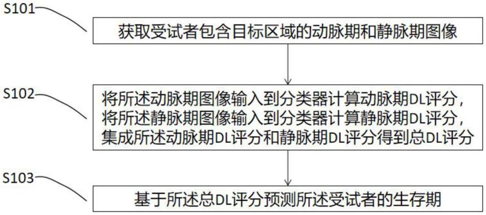 一種預(yù)測(cè)CRLM患者生存期的方法、設(shè)備、介質(zhì)和程序產(chǎn)品