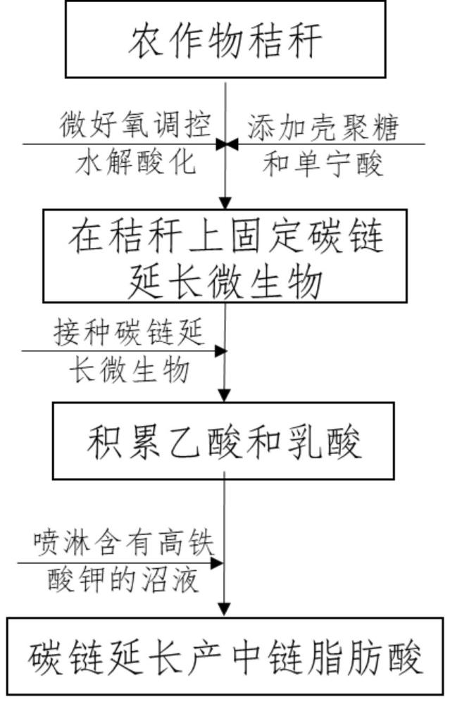 一種干濕耦合厭氧發(fā)酵高效合成中鏈脂肪酸的方法