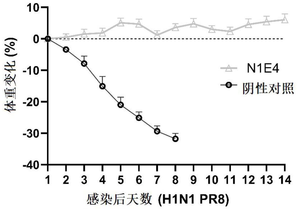 一種針對(duì)甲型流感病毒H1N1亞型NA蛋白的納米抗體及應(yīng)用