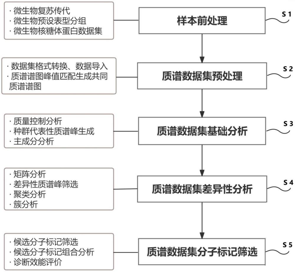 一種微生物核糖體蛋白質(zhì)組學(xué)數(shù)據(jù)集的深度分析方法及應(yīng)用