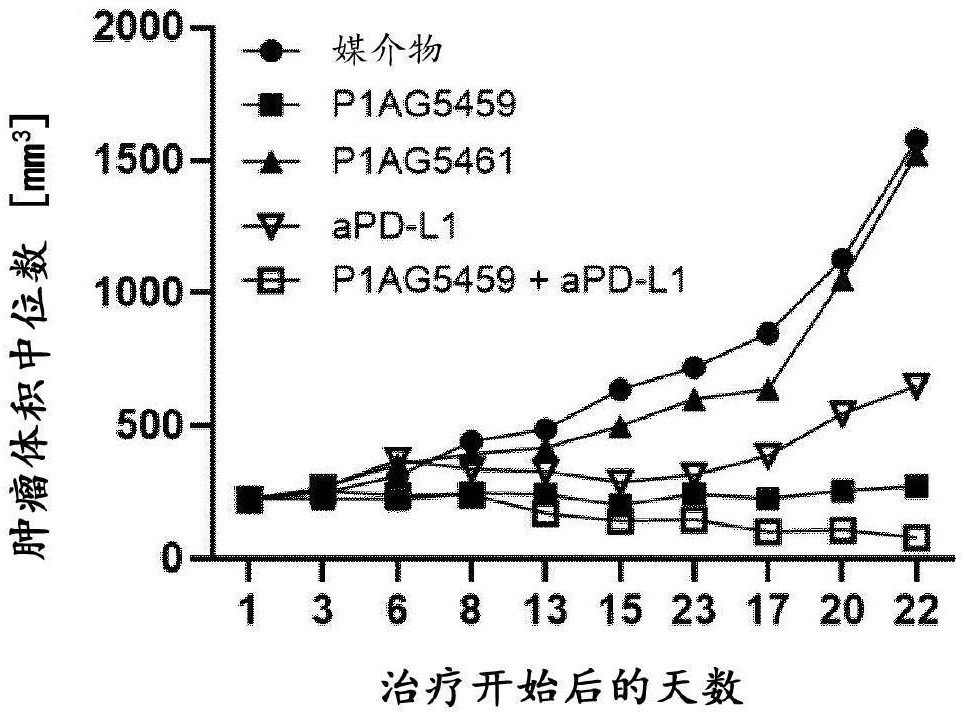 激動(dòng)性LTBR抗體以及包含它們的雙特異性抗體的制作方法