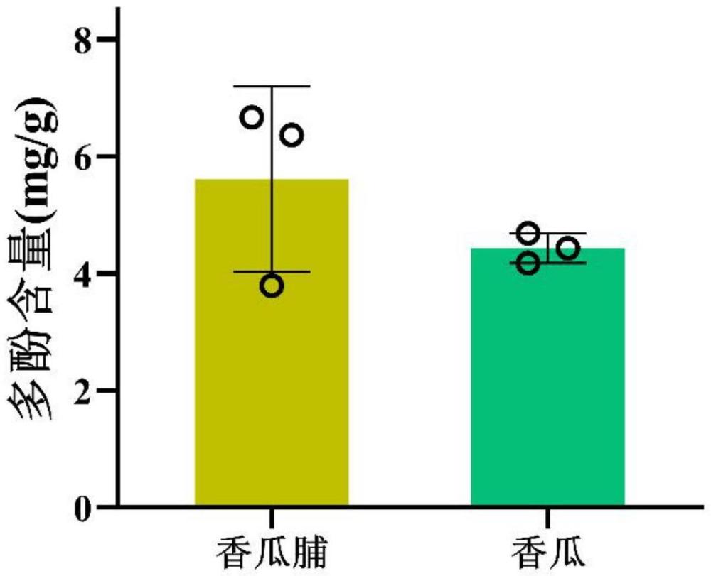 一種具有抗氧化功能的香瓜脯的加工方法