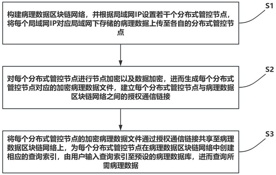 基于區(qū)塊鏈的分布式病理數(shù)據(jù)管理方法及系統(tǒng)與流程