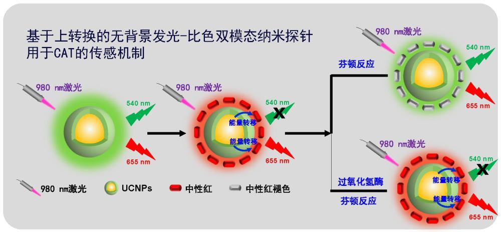 用于CAT檢測的熒光-比色雙模態(tài)納米探針與生物傳感器