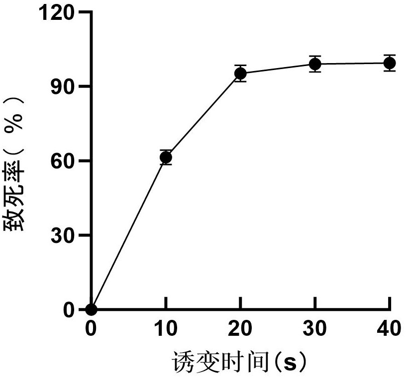 一株耐受強(qiáng)堿性條件的巴氏生孢八疊球菌及其應(yīng)用