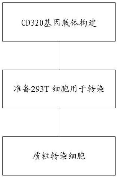 一種用于檢測中樞神經(jīng)維生素B12缺乏癥羥鈷胺受體抗體的熒光檢測試劑盒及其應(yīng)用的制作方法