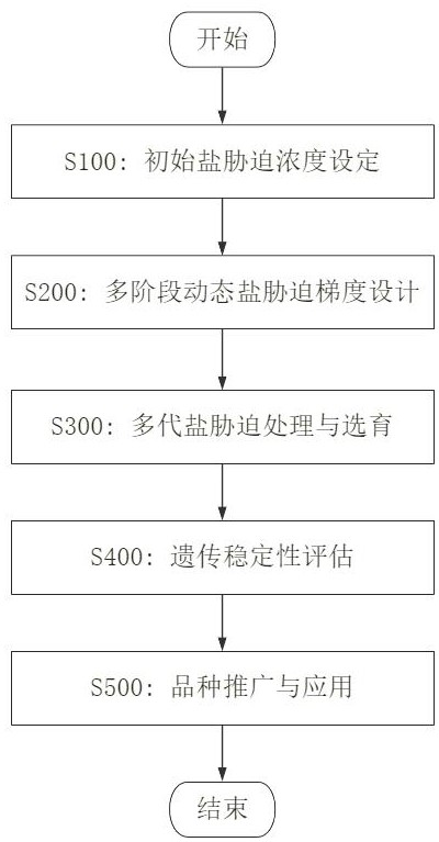 一種棉花抗鹽堿品種的選育方法