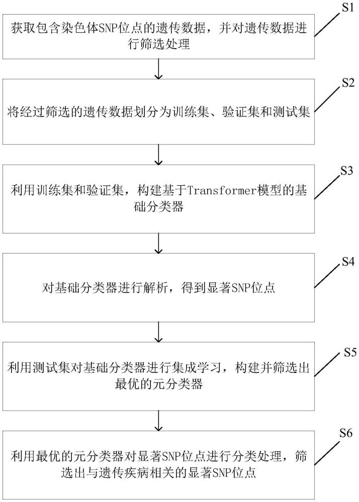 一種基于Transformer模型集成學(xué)習(xí)的SNP位點(diǎn)挖掘方法及系統(tǒng)