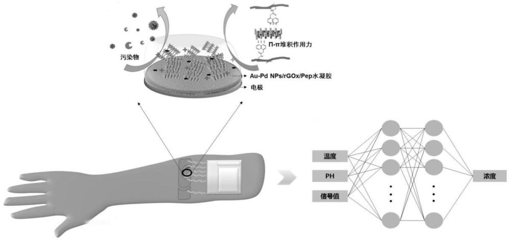 一種抗污染、自愈合多肽水凝膠及電化學汗液傳感器