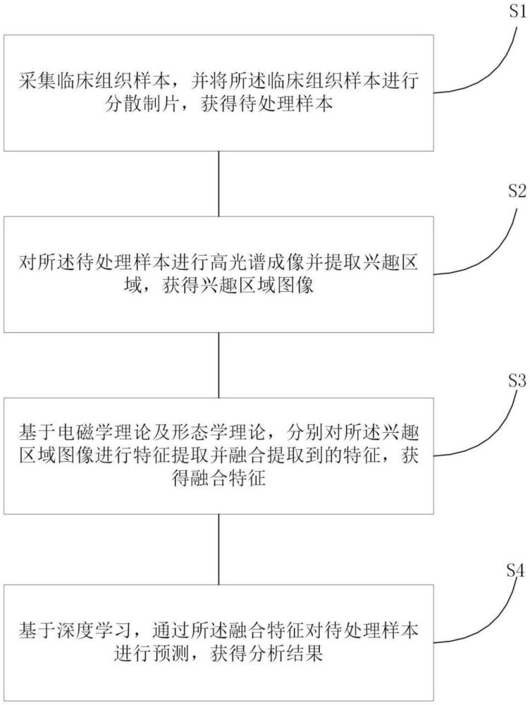 一種病理圖像分析方法及系統(tǒng)