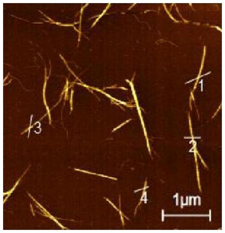 一種利用生物模板和仿生合成方法制備量子點(diǎn)納米材料的方法與流程