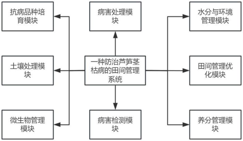 一種防治蘆筍莖枯病的田間管理系統(tǒng)