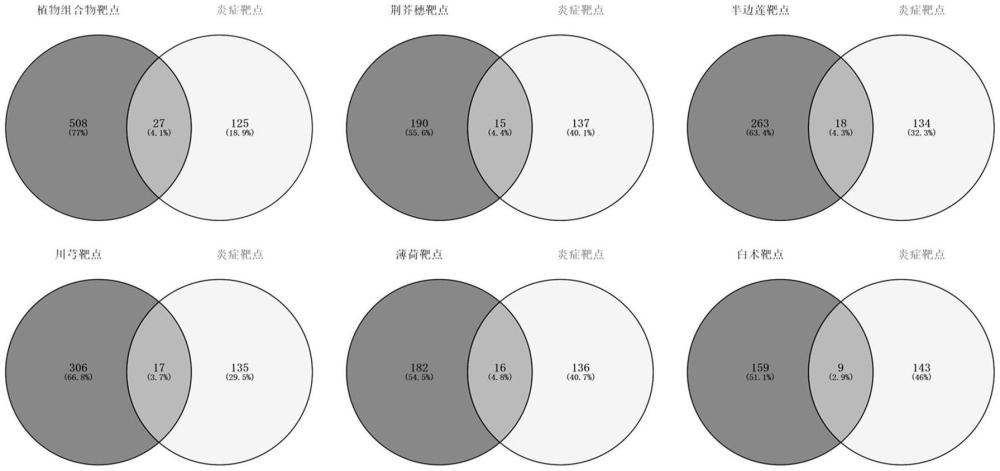 一種外用型皮膚抗炎抗衰植物組合物及其制備方法、應(yīng)用與流程