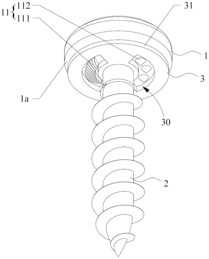 電氣設(shè)備的螺釘?shù)闹谱鞣椒? /><br/><p>本技術(shù)涉及螺釘，尤其是電氣設(shè)備的螺釘。</p><p><br/><b>背景技術(shù)：</b><br/></p><p>1、不少電氣設(shè)備由于是采用金屬材質(zhì)的外殼，一般是通過在電氣設(shè)備的金屬外殼上涂覆保護(hù)漆，保護(hù)漆可以防止金屬外殼被腐蝕，并且保護(hù)漆可以作為絕緣層，避免在發(fā)生電氣設(shè)備漏電等意外時(shí)而使作業(yè)人員直接接觸到帶電的金屬外殼。</p><p>2、依照安全標(biāo)準(zhǔn)要求，金屬外殼還需要進(jìn)行接地處理，使漏電時(shí)金屬外殼上的電流可以通過地線流入大地，通過接地螺釘安裝到金屬外殼上實(shí)現(xiàn)，而螺釘安裝處的絕緣層會(huì)阻礙螺釘與金屬外殼的導(dǎo)通，為了破開金屬外殼上的絕緣層，現(xiàn)有技術(shù)的方案是通過在螺帽下方加工形成齒形結(jié)構(gòu)或者通過在螺桿上套設(shè)花齒墊片，在螺釘旋入金屬外殼的安裝孔中時(shí)，可利用齒形結(jié)構(gòu)劃破刮落所接觸的金屬外殼安裝面的絕緣層，露出絕緣層遮蔽的金屬外殼，從而使接地線通過接地螺釘與金屬外殼獲得良好的接通。</p><p>3、但是，現(xiàn)有技術(shù)的這類方案會(huì)導(dǎo)致破開絕緣層處的安裝面失去保護(hù)作用，易受到腐蝕，大氣中的水汽也可以通過螺帽與安裝面之間的縫隙侵入，影響電氣設(shè)備。</p><br/><p><b>技術(shù)實(shí)現(xiàn)思路</b></p><p>1、有鑒于此，本實(shí)用新型的目的在于提供一種電氣設(shè)備的螺釘，來解決上述問題。</p><p>2、為了實(shí)現(xiàn)上述的目的，本實(shí)用新型采用了如下的技術(shù)方案：</p><p>3、本實(shí)用新型提供了一種電氣設(shè)備的螺釘，其包括螺帽、螺桿段以及彈性墊圈。</p><p>4、所述螺帽的內(nèi)端面上設(shè)有齒狀結(jié)構(gòu)；所述螺桿段連接在所述螺帽的內(nèi)端面上；所述彈性墊圈套設(shè)在所述螺桿段上，所述彈性墊圈與螺帽的內(nèi)端面抵接，且所述彈性墊圈上開設(shè)有讓位所述螺帽的齒狀結(jié)構(gòu)的讓位槽，使所述齒狀結(jié)構(gòu)內(nèi)藏于讓位槽內(nèi)。</p><p>5、其中，所述彈性墊圈的外周邊緣從螺帽的內(nèi)端面上延伸，以向外擴(kuò)張的傾斜方向遠(yuǎn)離螺帽的內(nèi)端面，構(gòu)成形變間隙位，使彈性墊圈的外周邊緣與螺帽的內(nèi)端面隔空，以在彈性墊圈受力變形時(shí)使所述齒狀結(jié)構(gòu)露出于讓位槽外。</p><p>6、優(yōu)選地，沿所述螺帽的內(nèi)端面上螺桿段的軸向方向上，所述齒狀結(jié)構(gòu)的厚度等于讓位槽的深度。</p><p>7、優(yōu)選地，所述齒狀結(jié)構(gòu)與所述螺帽一體成型。</p><p>8、優(yōu)選地，所述齒狀結(jié)構(gòu)包括螺紋齒部和釘齒部，所述螺紋齒部和釘齒部對(duì)稱地環(huán)繞螺桿段排布，所述讓位槽包括第一弧形槽和第二弧形槽，所述第一弧形槽對(duì)應(yīng)設(shè)置在螺紋齒部的外周，所述第二弧形槽對(duì)應(yīng)設(shè)置在釘齒部的外周。</p><p>9、優(yōu)選地，所述螺紋齒部包括多個(gè)沿周向螺旋狀延伸的弧形片，多個(gè)弧形片相互間隔均勻排布，所述釘齒部包括多個(gè)錐形釘齒，多個(gè)錐形釘齒相互間隔繞螺桿的周向排布。</p><p>10、優(yōu)選地，所述彈性墊圈為橡膠墊圈。</p><p>11、優(yōu)選地，所述螺釘為金屬材質(zhì)的接地螺釘。</p><p>12、本實(shí)用新型技術(shù)方案所取得的技術(shù)效果主要包括：</p><p>13、上述電氣設(shè)備的螺釘，安裝到金屬外殼等安裝面上時(shí)，螺帽對(duì)彈性墊圈施加的下壓作用力，可以使彈性墊圈受擠壓形變，彈性墊圈的外周邊緣借助形變間隙位易于進(jìn)行上翻和擴(kuò)張的形變，露出讓位槽內(nèi)的齒狀結(jié)構(gòu)，齒狀結(jié)構(gòu)可以伴隨螺帽的旋轉(zhuǎn)而破開并刮落安裝面的絕緣層，使接地線可以通過螺釘與電氣設(shè)備的金屬結(jié)構(gòu)連通，并且待擰緊螺釘后，彈性墊圈的下部端面緊壓在安裝面上，彈性墊圈配合上方的螺帽，可以封蓋齒狀結(jié)構(gòu)破開的金屬結(jié)構(gòu)，隔絕外部空氣侵入，防止長(zhǎng)期使用后發(fā)生氧化腐蝕；</p><p>14、彈性墊圈夾固在螺帽和安裝面之間可以起到緩沖保護(hù)的作用，避免對(duì)安裝面造成過大的破口，彈性墊圈遮擋了被破開的金屬結(jié)構(gòu)，避免影響電氣設(shè)備外觀；</p><p>15、齒狀結(jié)構(gòu)破開安裝面上的絕緣層，可嵌入其中，齒狀結(jié)構(gòu)與彈性墊圈一并增大了螺釘與安裝面之間的摩擦力，可以起到防止螺釘回轉(zhuǎn)松脫的作用。</p><br/><br><b>技術(shù)特征：</b><br/><p>1.一種電氣設(shè)備的螺釘，其特征在于，包括：</p><p>2.根據(jù)權(quán)利要求1所述的電氣設(shè)備的螺釘，其特征在于，沿所述螺帽(1)的內(nèi)端面(1a)上螺桿段(2)的軸向方向上，所述齒狀結(jié)構(gòu)(11)的厚度等于讓位槽(30)的深度。</p><p>3.根據(jù)權(quán)利要求1所述的電氣設(shè)備的螺釘，其特征在于，所述齒狀結(jié)構(gòu)(11)與所述螺帽(1)一體成型。</p><p>4.根據(jù)權(quán)利要求1所述的電氣設(shè)備的螺釘，其特征在于，所述齒狀結(jié)構(gòu)(11)包括螺紋齒部(111)和釘齒部(112)，所述螺紋齒部(111)和釘齒部(112)對(duì)稱地環(huán)繞螺桿段(2)排布，所述讓位槽(30)包括第一弧形槽和第二弧形槽，所述第一弧形槽對(duì)應(yīng)設(shè)置在螺紋齒部(111)的外周，所述第二弧形槽對(duì)應(yīng)設(shè)置在釘齒部(112)的外周。</p><p>5.根據(jù)權(quán)利要求4所述的電氣設(shè)備的螺釘，其特征在于，所述螺紋齒部(111)包括多個(gè)沿周向螺旋狀延伸的弧形片，多個(gè)弧形片相互間隔均勻排布，所述釘齒部(112)包括多個(gè)錐形釘齒，多個(gè)錐形釘齒相互間隔繞螺桿的周向排布。</p><p>6.根據(jù)權(quán)利要求1所述的電氣設(shè)備的螺釘，其特征在于，所述彈性墊圈(3)為橡膠墊圈。</p><p>7.根據(jù)權(quán)利要求1所述的電氣設(shè)備的螺釘，其特征在于，所述螺釘為金屬材質(zhì)的接地螺釘。</p><br/><b>技術(shù)總結(jié)</b><br>本技術(shù)公開了一種電氣設(shè)備的螺釘，其包括螺帽、螺桿段以及彈性墊圈。螺帽的內(nèi)端面上設(shè)有齒狀結(jié)構(gòu)；彈性墊圈套設(shè)在螺桿段上，彈性墊圈與螺帽的內(nèi)端面抵接，且彈性墊圈上開設(shè)有讓位齒狀結(jié)構(gòu)的讓位槽，使齒狀結(jié)構(gòu)內(nèi)藏于讓位槽內(nèi)。彈性墊圈的外周邊緣從螺帽的內(nèi)端面上延伸，以向外擴(kuò)張的傾斜方向遠(yuǎn)離螺帽的內(nèi)端面，構(gòu)成形變間隙位，使彈性墊圈的外周邊緣與螺帽的內(nèi)端面隔空，以在彈性墊圈受力變形時(shí)使齒狀結(jié)構(gòu)露出于讓位槽外，齒狀結(jié)構(gòu)伴隨螺帽的旋轉(zhuǎn)而破開絕緣層，使接地線可通過螺釘與電氣設(shè)備的金屬結(jié)構(gòu)連通，待擰緊螺釘后，彈性墊圈緊壓在安裝面上，封蓋齒狀結(jié)構(gòu)破開的金屬結(jié)構(gòu)，隔絕外部空氣侵入，防止長(zhǎng)期使用后發(fā)生氧化腐蝕。<br/><br/><b>技術(shù)研發(fā)人員：</b>蘇河<br/><b>受保護(hù)的技術(shù)使用者：</b>東莞市帝星電子五金有限公司<br/><b>技術(shù)研發(fā)日：</b>20240430<br/><b>技術(shù)公布日：</b>2024/12/19
                        </div>
                        </div>
                        <div   id=