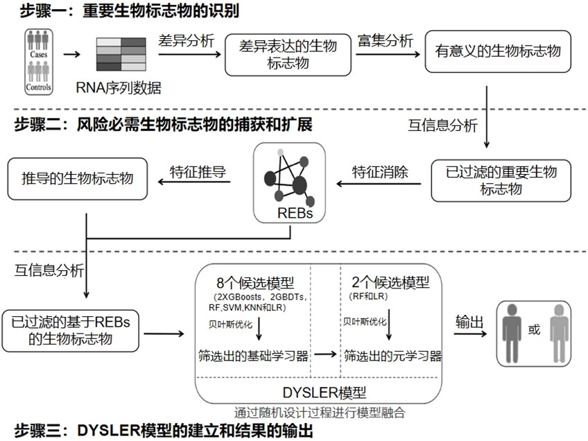 疾病風險表征預測系統(tǒng)及方法