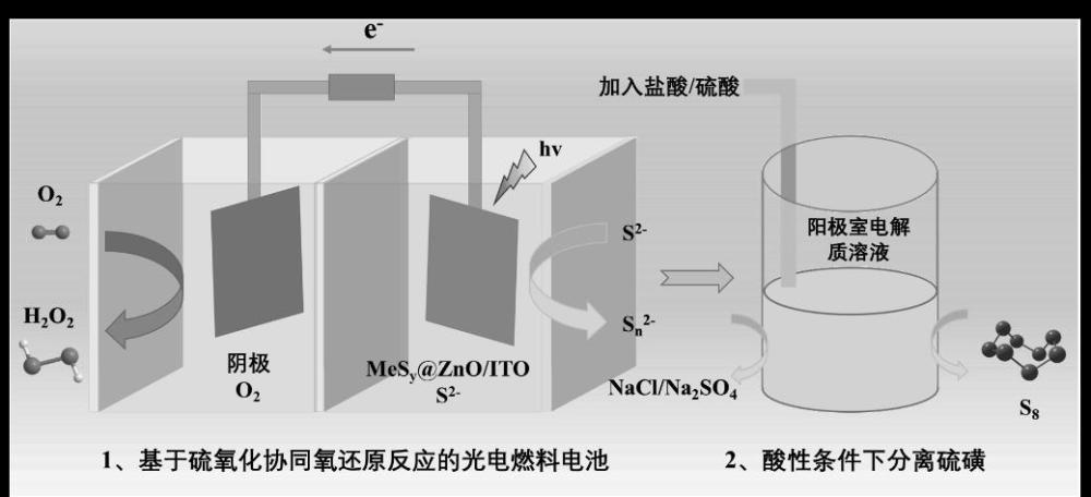 一種光催化燃料電池及其制備方法和應(yīng)用