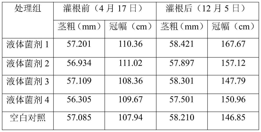 一種促進(jìn)枸杞生長(zhǎng)的微生物菌劑及其應(yīng)用的制作方法