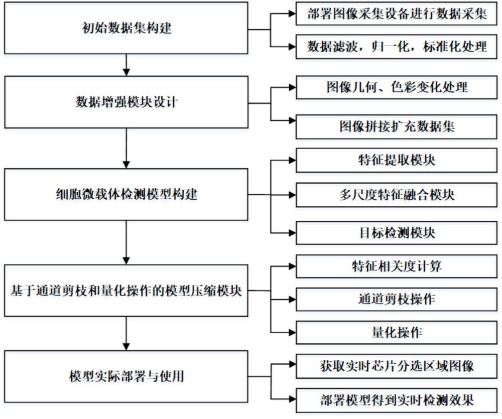 一種類器官細胞微載體檢測方法及其模型搭建方法與流程