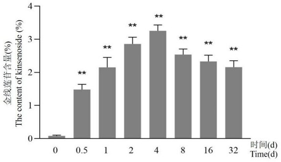 一種誘導(dǎo)福建金線蓮提高金線蓮苷及調(diào)節(jié)能量代謝產(chǎn)物的方法