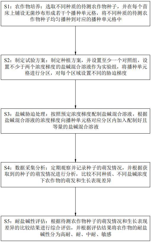 農(nóng)作物萌發(fā)期耐鹽堿性的鑒定分級(jí)方法