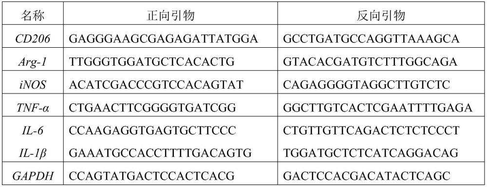 治療或預(yù)防巨噬細(xì)胞介導(dǎo)的疾病的藥物及其應(yīng)用的制作方法