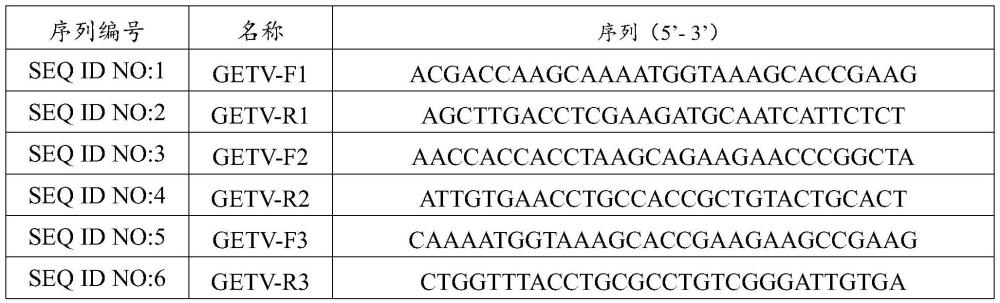 檢測蓋塔病毒的MIRA-LFD引物組及其應(yīng)用