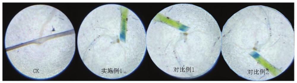 一種園林植物用生長延緩劑及其制備方法與流程