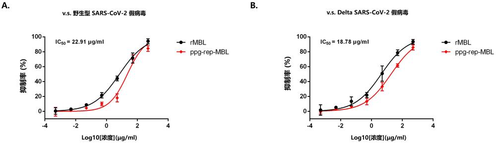 一種甘露聚糖結(jié)合凝集素改造蛋白ppg-rep-MBL、DNA分子、表達(dá)載體、宿主細(xì)胞，以及用途