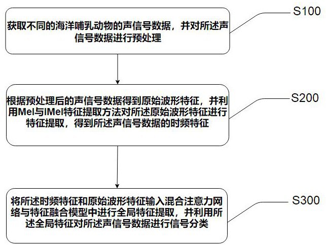 一種大型海洋哺乳動物聲信號分類方法及系統(tǒng)、電子設(shè)備與流程