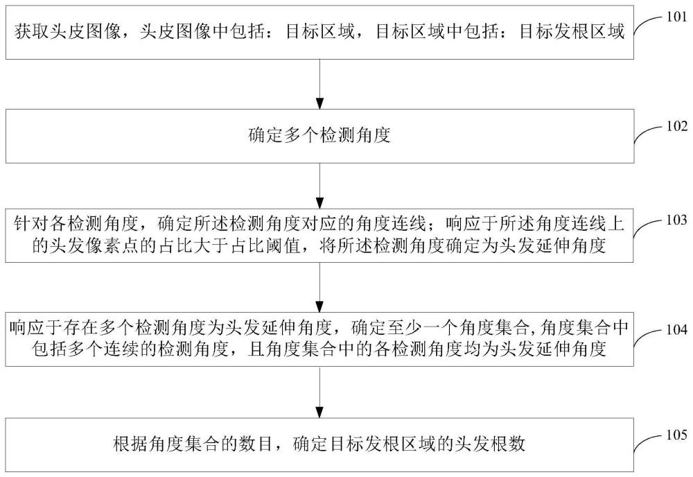 發(fā)根區(qū)域的頭發(fā)根數(shù)的確定方法和裝置與流程