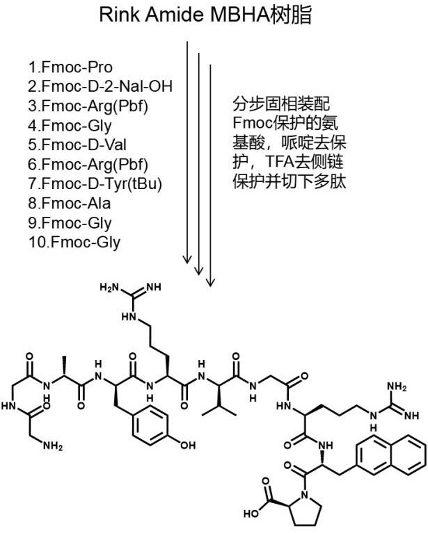 一種CXCR4靶向多肽及其制備方法和應(yīng)用